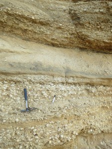 nice layers of different rocks with shells